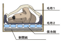 納棺イメージ